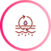 深層皺紋改善 皮膚更緊緻 激活皮膚再生 提升水分含量 增加真皮密度和厚度的圖標