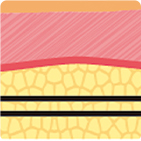 從第一代到第四代逐步升級的線雕結構