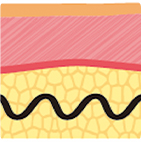 從第一代到第四代逐步升級的線雕結構