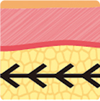 從第一代到第四代逐步升級的線雕結構